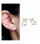 EVERU Butterfly Jewelry Piercing Earrings