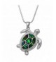 DianaL Boutique Beautiful Abalone Necklace