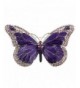 Purple Enamel Crystal Butterfly Brooch