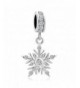 LuckyJewelry Winter Snowflake Charms Bracelets