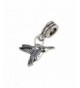 UniqueBeadsAndGifts Universal Hummingbird Charm