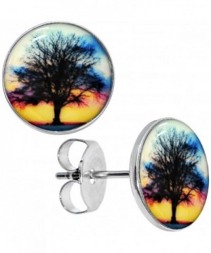 Body Candy Stainless Sunset Earrings