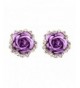 Fashion Jewelry Elegant Crystal Earrings
