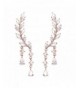 EVERU Jewelry Crystal Plated Earrings