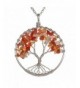 Gemstone Necklace BRCbeads Carnelian Stainless