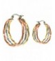 Jewelry Trends Stainless Triple tone Earrings