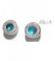 caliber Silver Earrings Stainless crystal