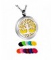 HooAMI Aromatherapy Essential Diffuser Necklace