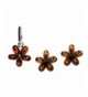 Sterling Multicolor Amber Jewelry Earrings