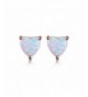 GEMSME Rose Gold Plated Earrings