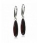 Sterling Amber Contemporary Leverback Earrings