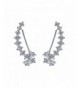 Crystal Earring Zirconia Accented Earrings