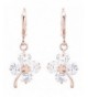DaisyJewel Charms Hypoallergenic Leverback Earrings