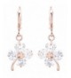 DaisyJewel Charms Hypoallergenic Leverback Earrings