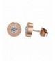 Titanium Numeral Zircon Plated Earrings