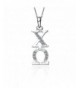 Omega Necklace Silver Chain CO P001