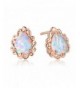 GEMSME Created Teardrop Earrings rose gold plated base