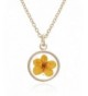 Pressed Flower Circle Pendant Necklace
