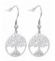 Dangle Earrings Fishhook Backings Stainless