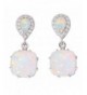 CiNily Rhodium Jewelry Gemstone Earrings