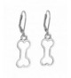 Sabai NYC Earrings Stainless Leverbacks