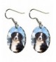 Canine Designs Mountain Scalloped Earrings