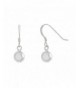 Sterling Silver Shiny Dangle Earrings