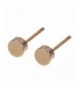 Plated Round Cylinder Earring Zoetik