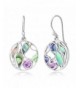 Sterling Amethyst Gemstone Abalone Earrings