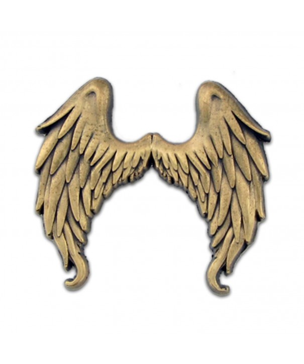 PinMarts Antique Flying Angel Wings