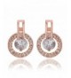Plated Earrings Women Jewelry Zirconia