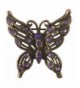 Petite Victorian Butterfly Brooch Antique