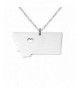 Silver Stainless Pendant Necklace MT