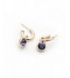 Signore Signori Purple Earrings Swarovski Elements
