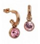 Amello Stainless earrings Swarovski ESOS51A