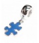 Sterling Silver Autism Awareness European