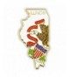 PinMarts State Shape Illinois Lapel