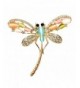 Navachi Colorful Created Opal Crystal Dragonfly