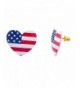 Lux Accessories American America Earrings