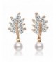 Zolure Handpicked Freshwater Cultured Earrings