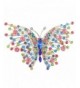 EVER FAITH Swallowtail Multicolor Silver Tone