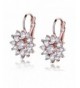 GULICX Marquise Zirconia Cluster Earrings