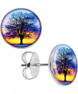 Body Candy Stainless Sunset Earrings