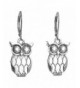 Sabai NYC Earrings Stainless Leverback