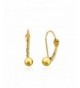Yellow Small Fixed Leverback Earrings