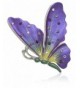 Akianna Painted Swarovski Element Butterfly