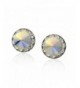 PammyJ Aurora Borealis Crystal Earrings