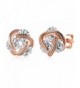 Earring Jewelry Crystal Zirconia Pierced