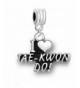 TAE KWON DO Charm Compatible European Bracelets