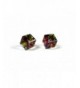 Vitrail Medium Austrian Crystal Earrings